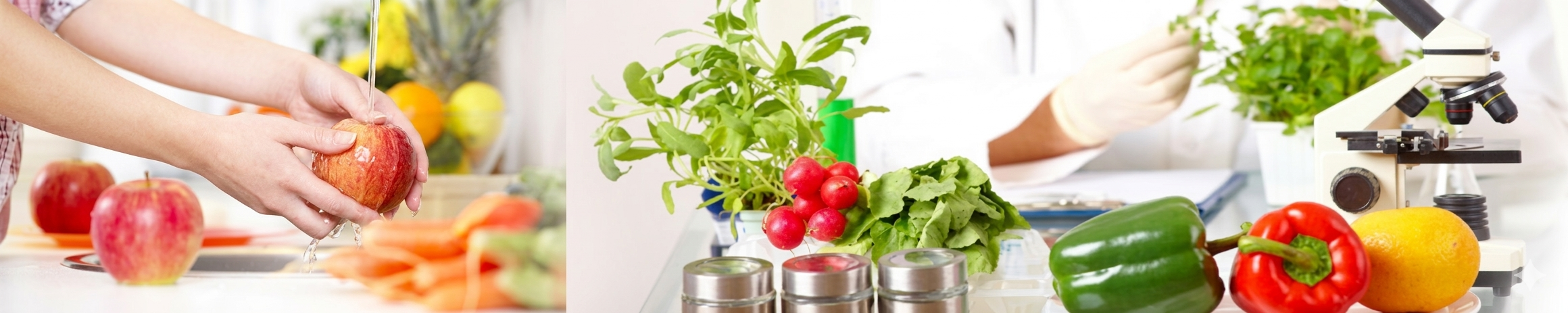 [DIP] Seguridad e Higiene Alimentaria '26