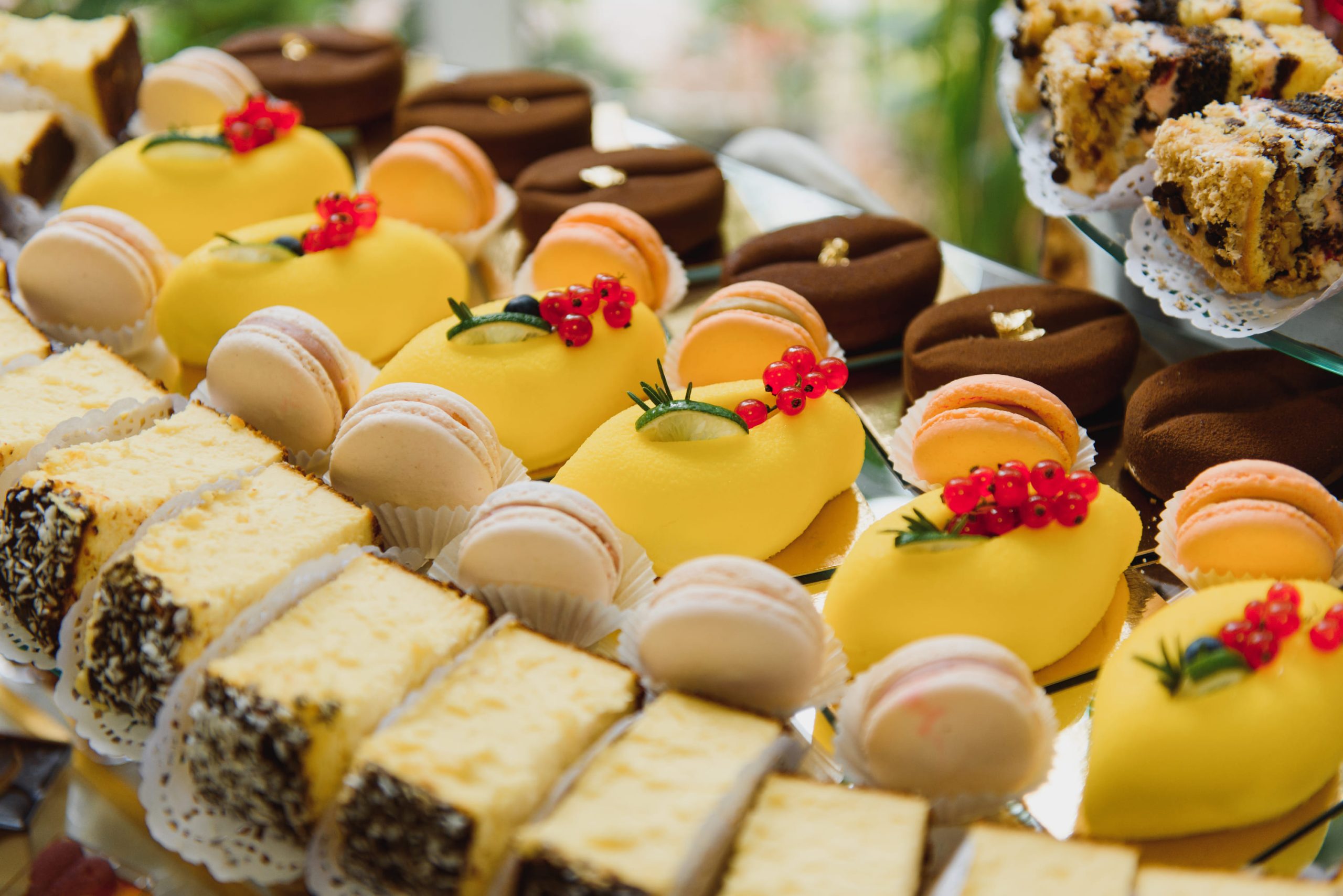 MODALIDAD CLÁSICA - MARZO 2026 [DIPLO PASTELERIA Y PANADERIA PROFESIONAL]